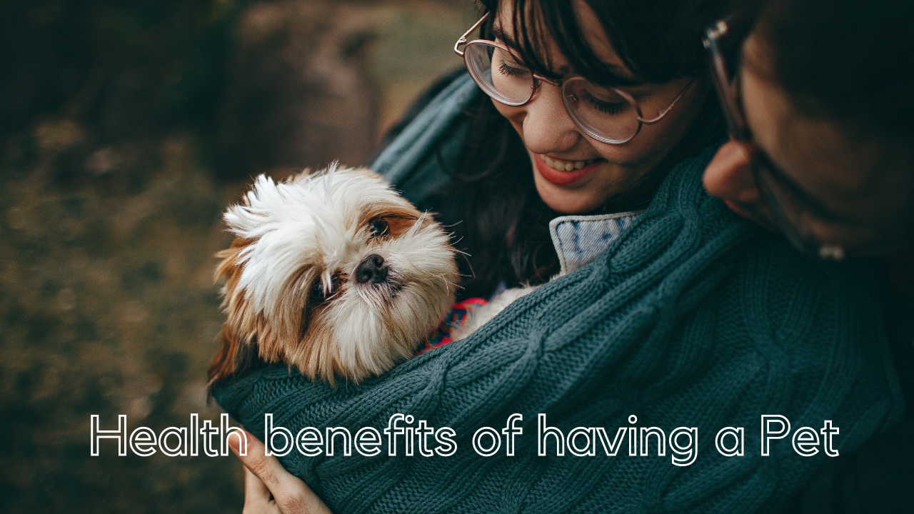 Health Benefits of Having A Pet