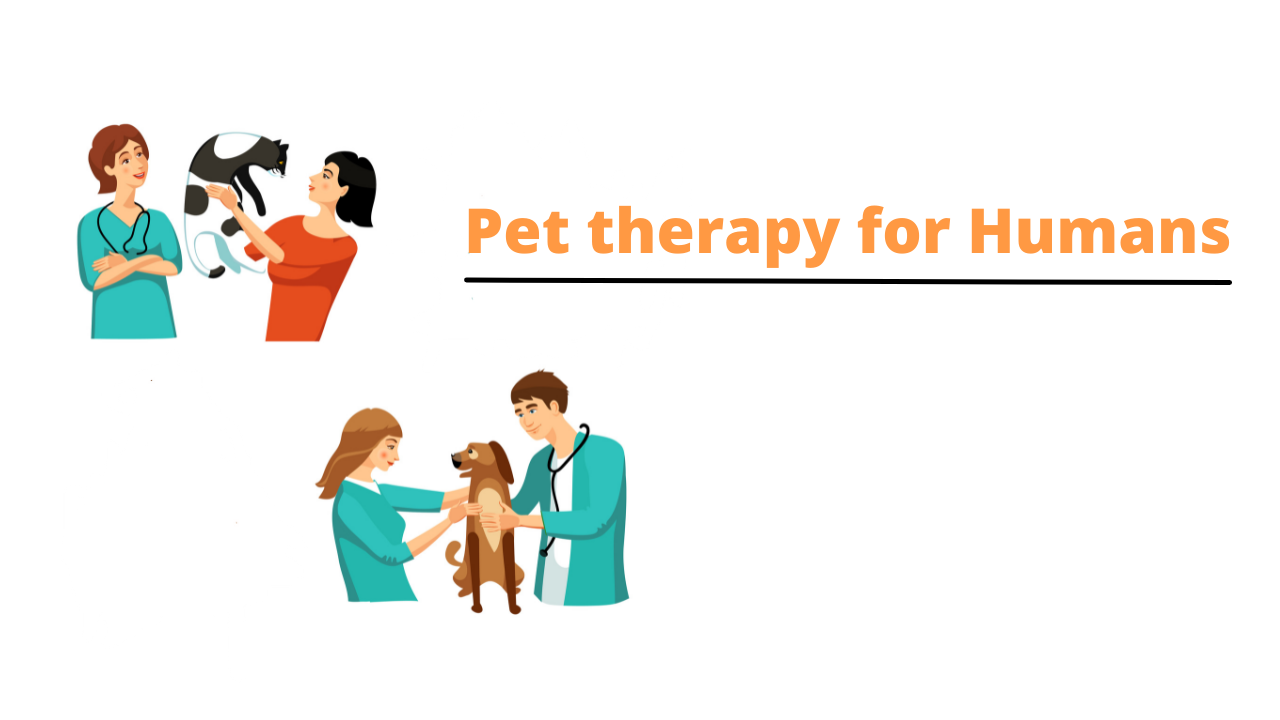 Pet therapy for humans