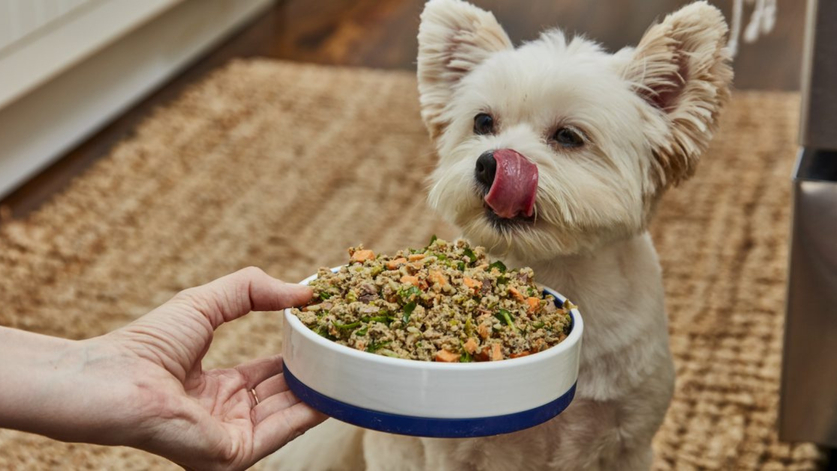 How to Prepare Home Cooked Food for Your Dog