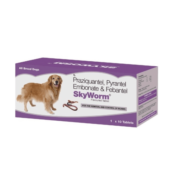 SkyEc SKYWORM Deworming Tablets For Dogs 2 Tablets - Canine Care