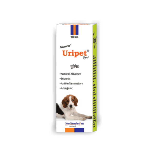 Untitled-design-2022-02-05T163250.873.png