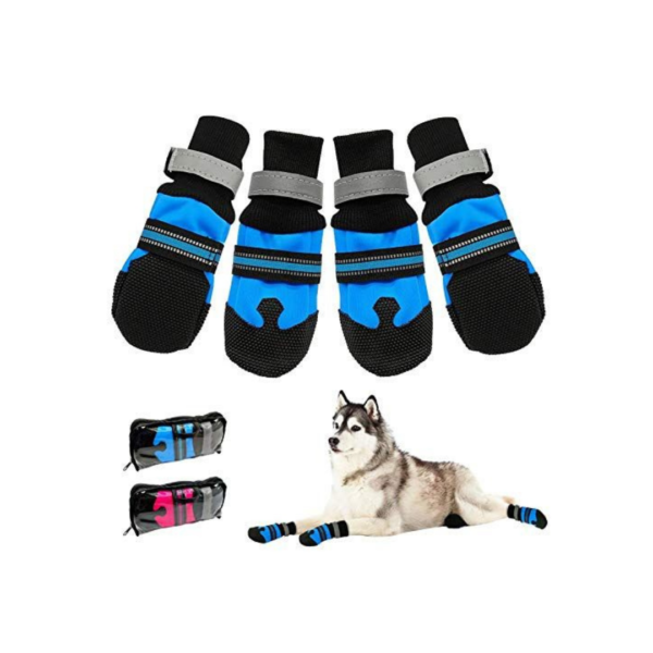 Untitled-design-6-1.png